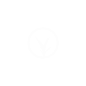 Brand White (1000 x 1000 px) (1)
