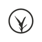 bambu-e.png